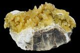 Fluorescent, Yellow Calcite Crystal Cluster - South Dakota #170703-1